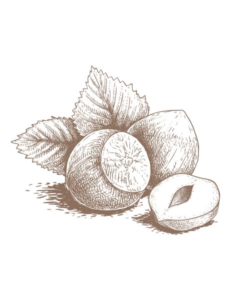 Noisette du Piémont