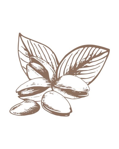Pistache de Sicile