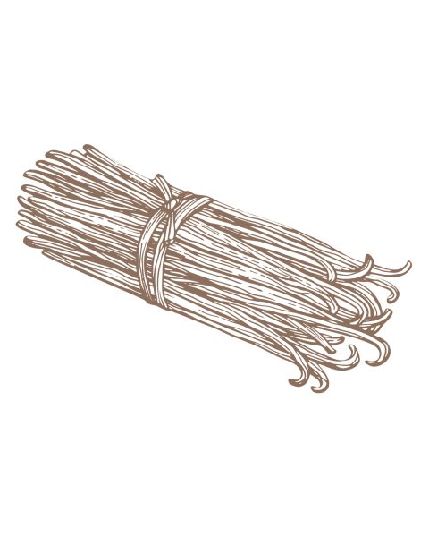 Vanille de Madagascar